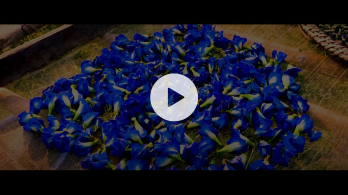 幸せを呼ぶ青いチョコレート CARRE DE BLUE（カレ・ド・ブルー）